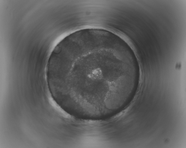 X0000112870958200909111529