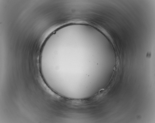 X0000112870959200909111529