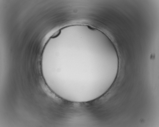 X0000112870960200909111529