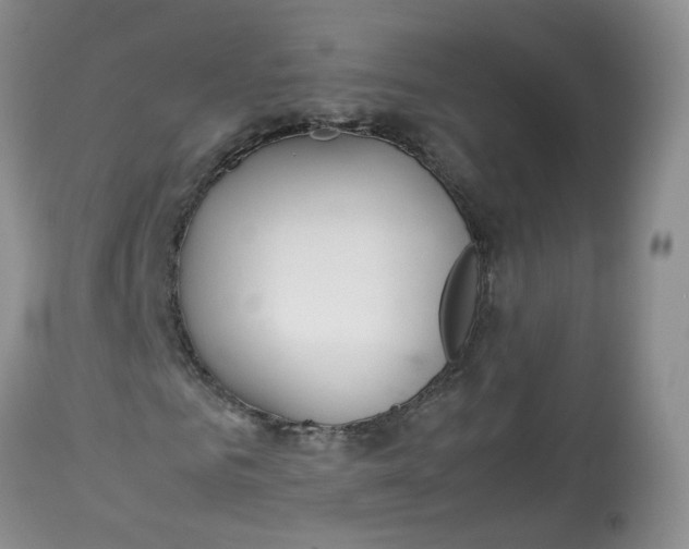 X0000112870961200909111529