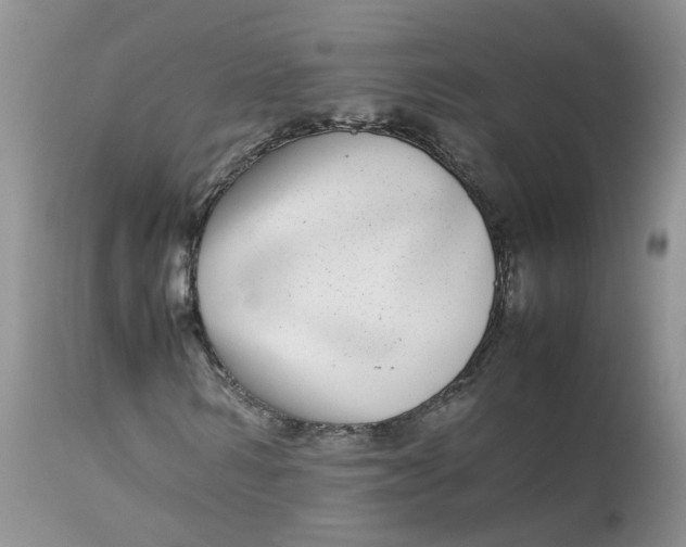 X0000112870962200909111529