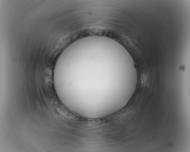 X0000112870964200909111529