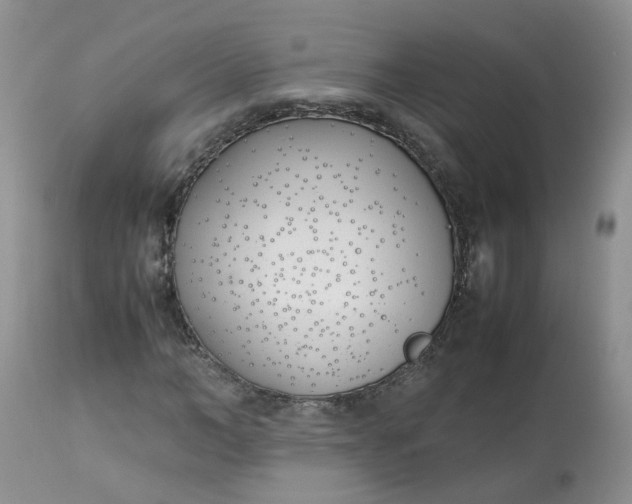 X0000112870966200909111529