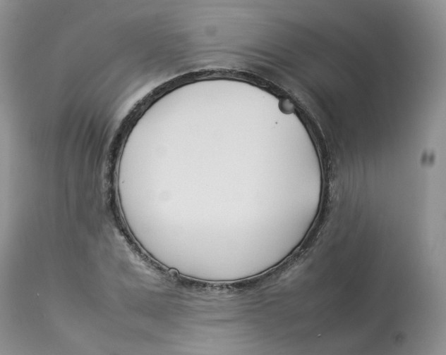 X0000112870975200909111528