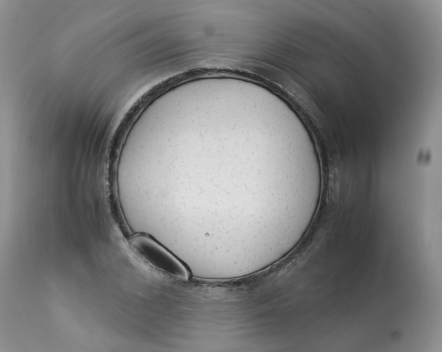 X0000112870976200909111528