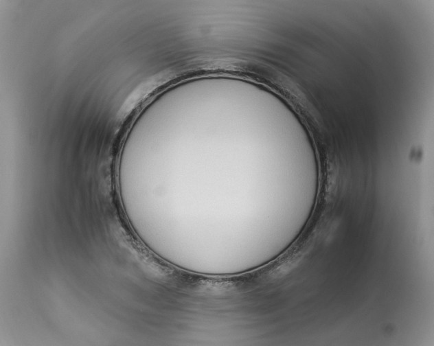 X0000112870978200909111528