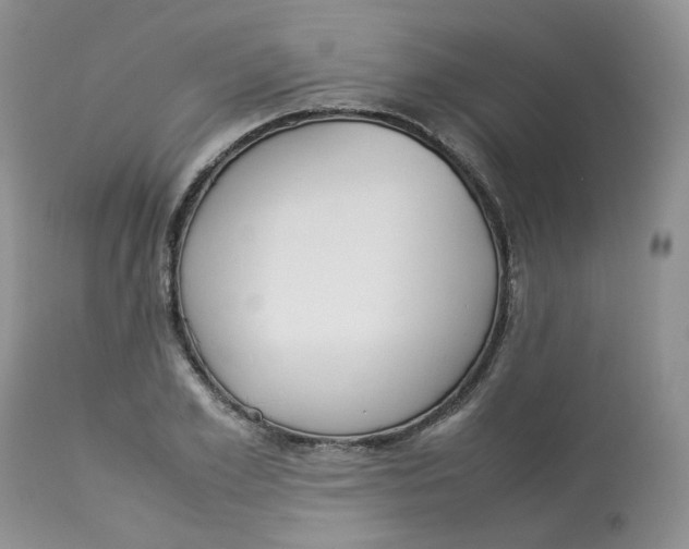 X0000112870981200909111528