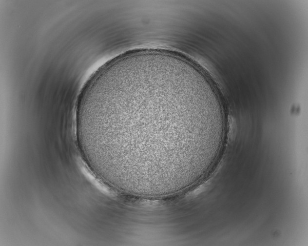 X0000112870982200909111528