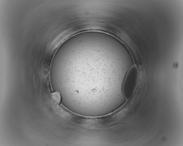 X0000112870985200909111528