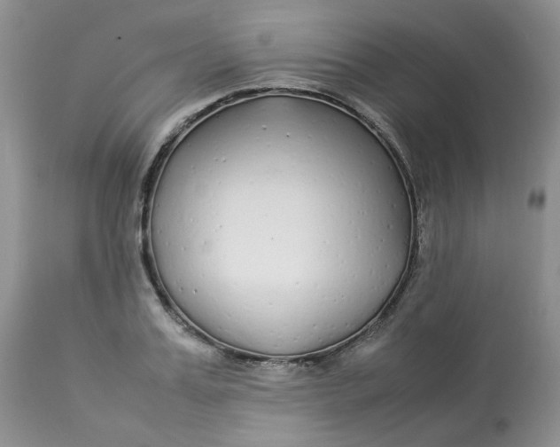 X0000112870987200909111528