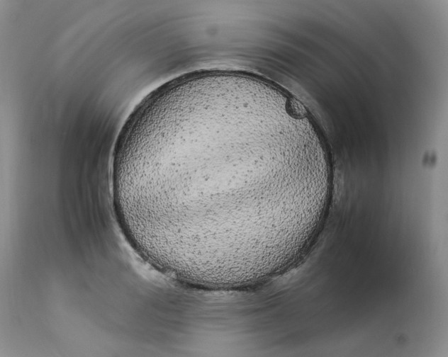 X0000112870988200909111528