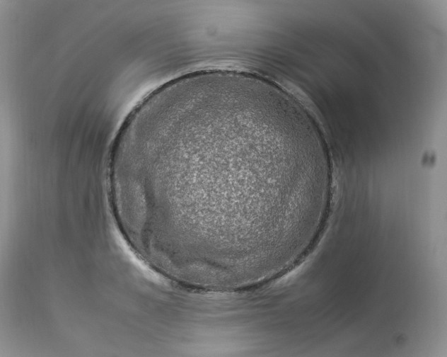 X0000112870989200909111528