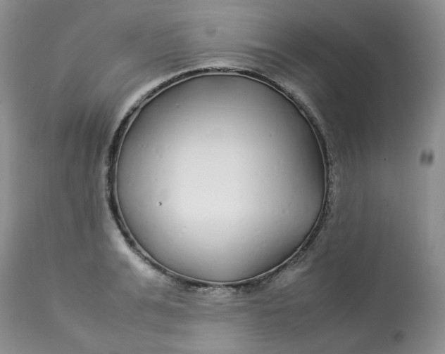 X0000112870991200909111528