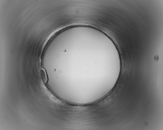 X0000112870996200909111528