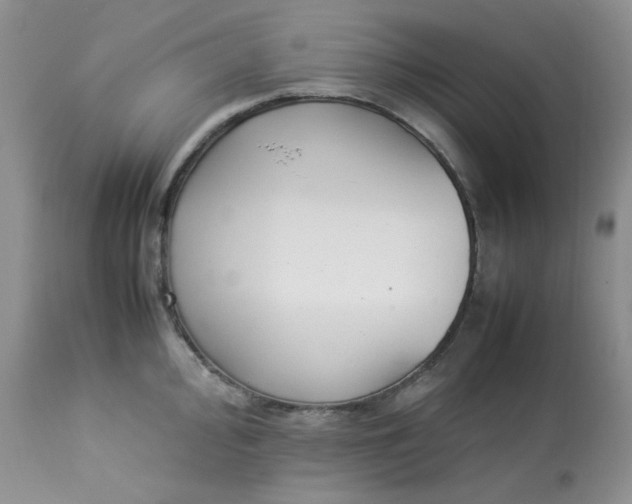 X0000112871000200909111528