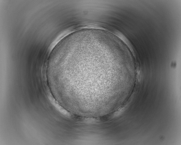 X0000112871002200909111528