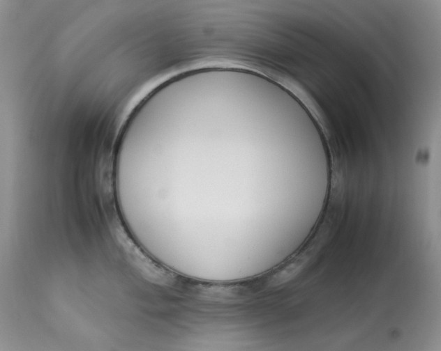 X0000112871004200909111528