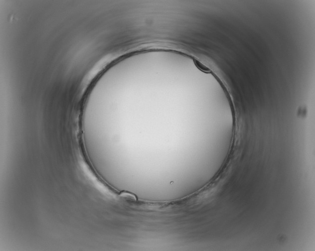 X0000112871005200909111528