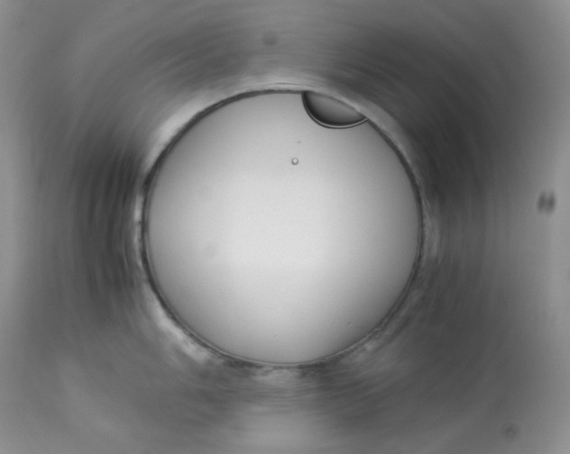 X0000112871006200909111528