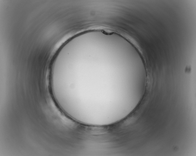 X0000112871007200909111528