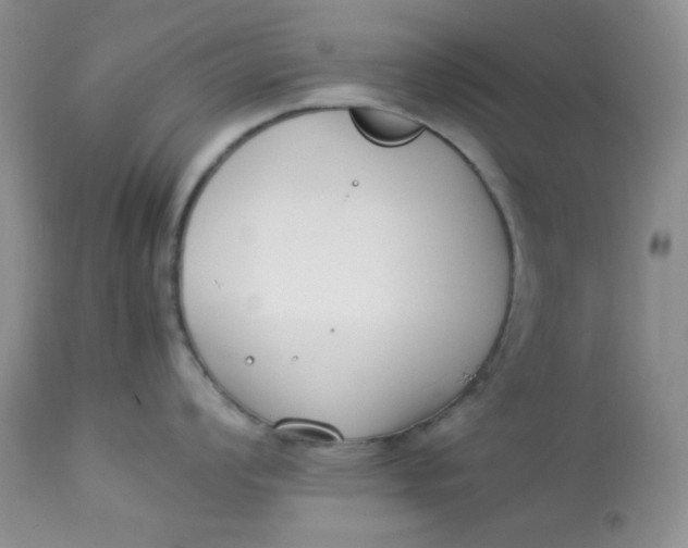 X0000112871008200909111528