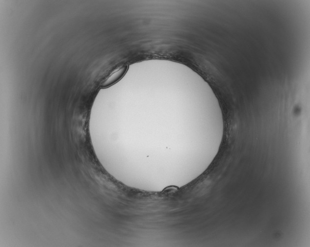 X0000112871010200909111527