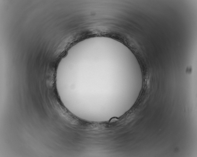 X0000112871012200909111527