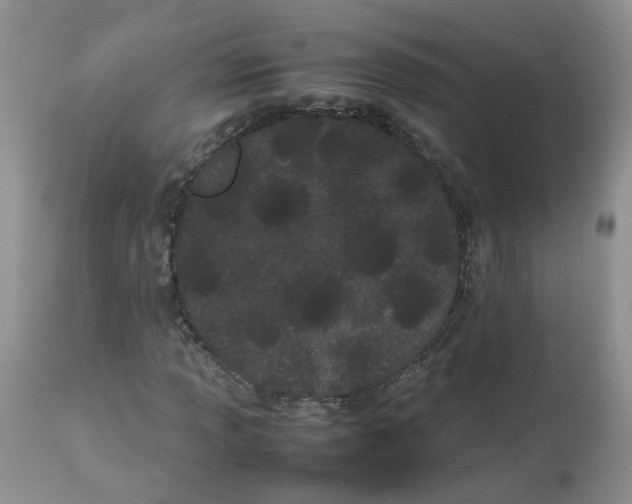 X0000112871013200909111527