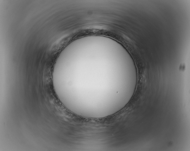 X0000112871014200909111527