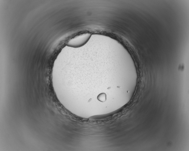 X0000112871016200909111527