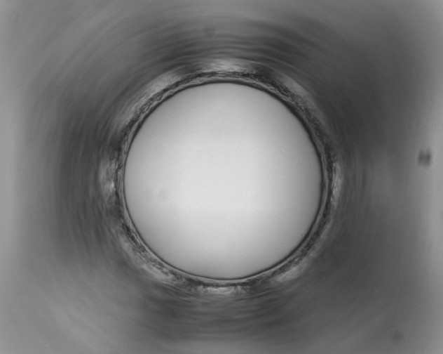 X0000112871017200909111527