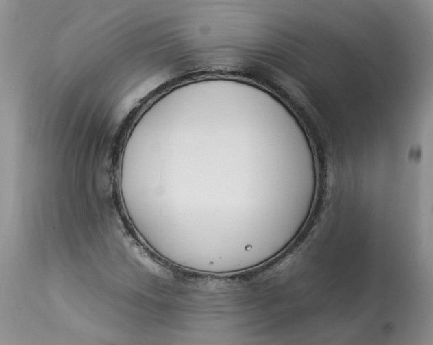 X0000112871018200909111527