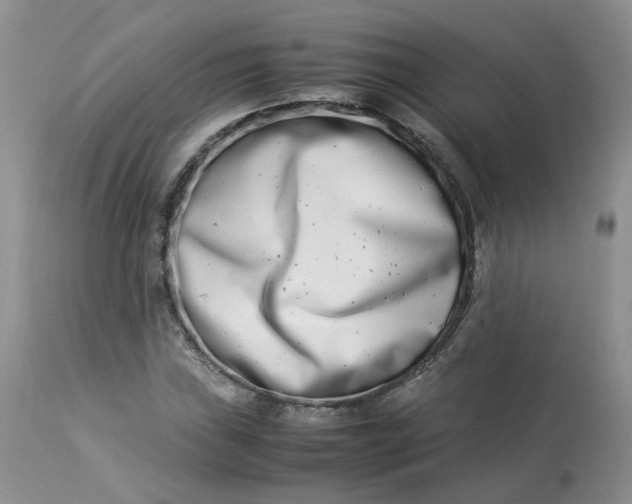 X0000112871019200909111527