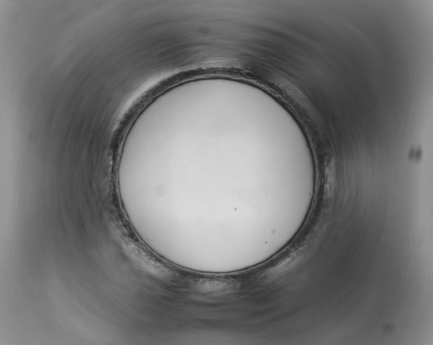 X0000112871021200909111527