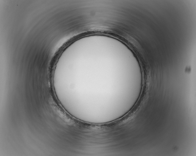 X0000112871022200909111528