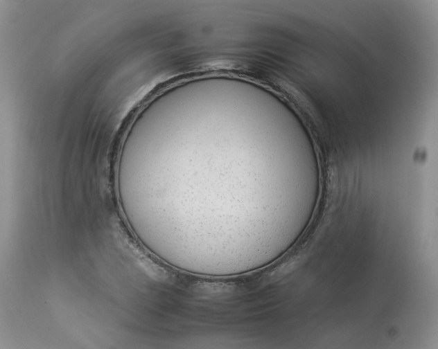 X0000112871023200909111528