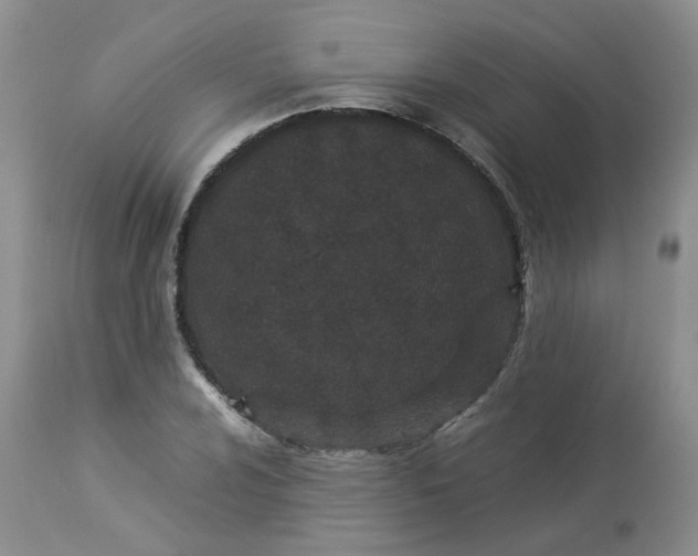 X0000112871024200909111528