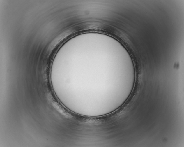 X0000112871026200909111528