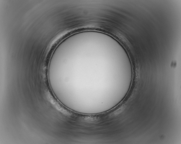 X0000112871029200909111528