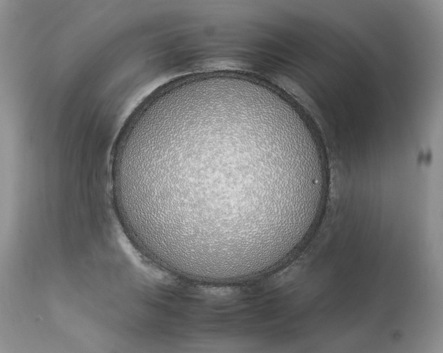 X0000112871031200909111528