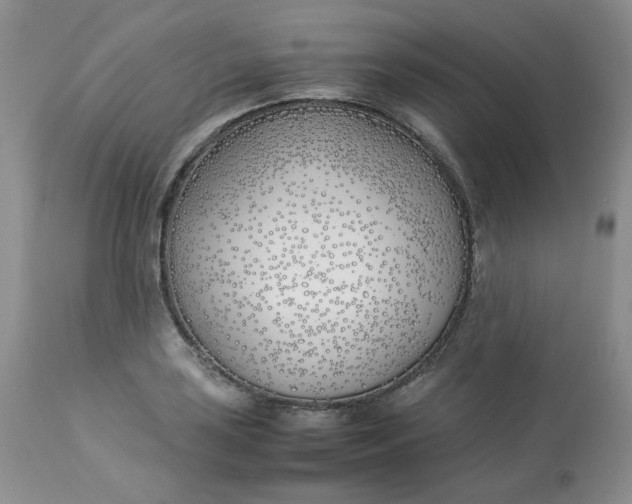 X0000112871035200909111528