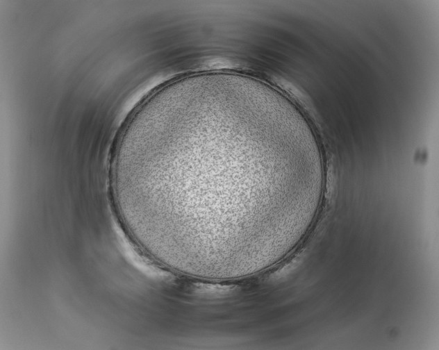 X0000112871039200909111528