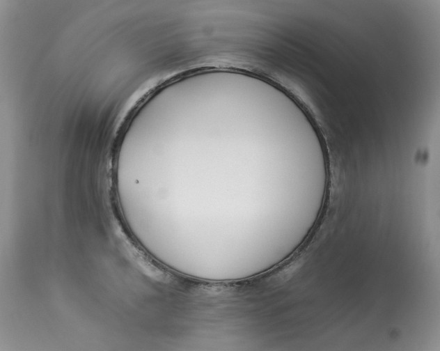 X0000112871040200909111528