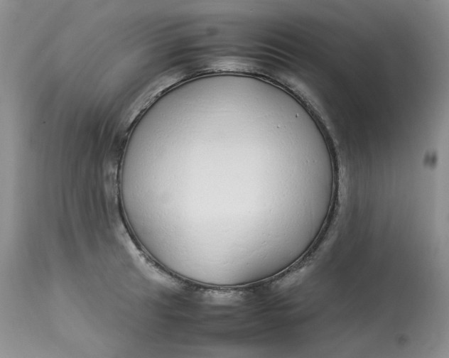 X0000112871041200909111528