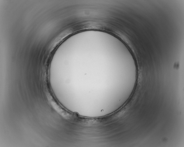 X0000112871042200909111528