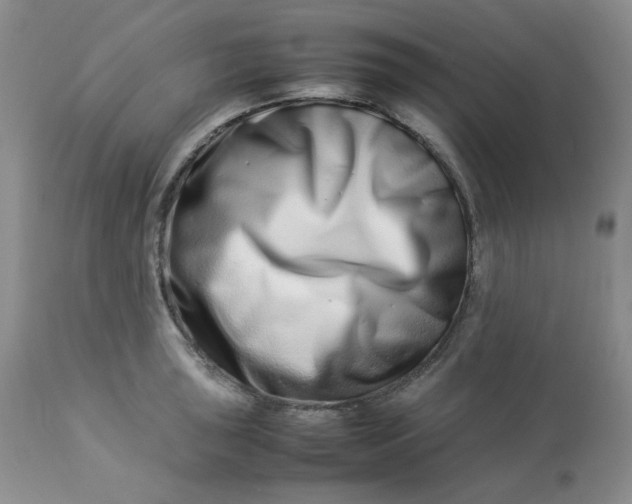 X0000112871043200909111528