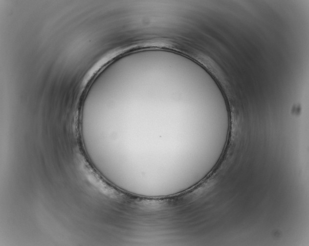 X0000112871044200909111528