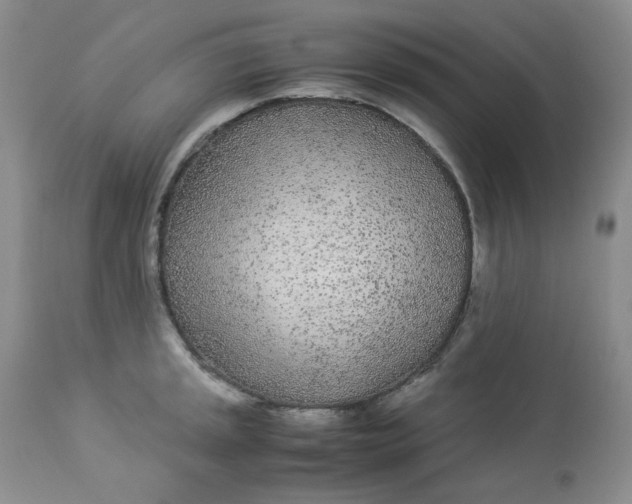 X0000112871045200909111528