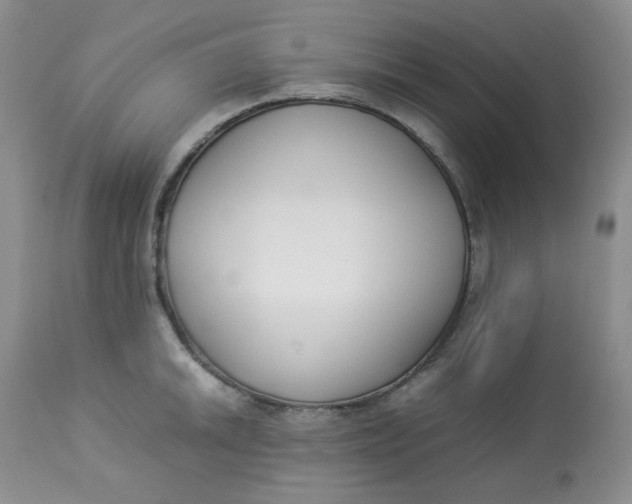 X0000112871046200909111528