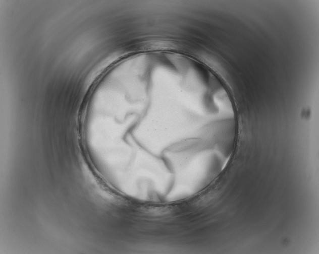 X0000112871047200909111528